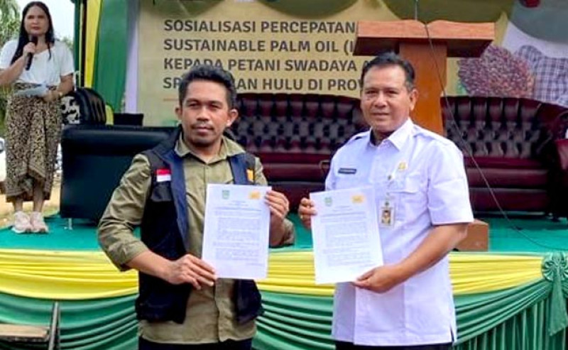 Kolaborasi SPKS dan Kabupaten Rokan Hulu, Dorong Sertifikasi ISPO untuk Petani Sawit Swadaya