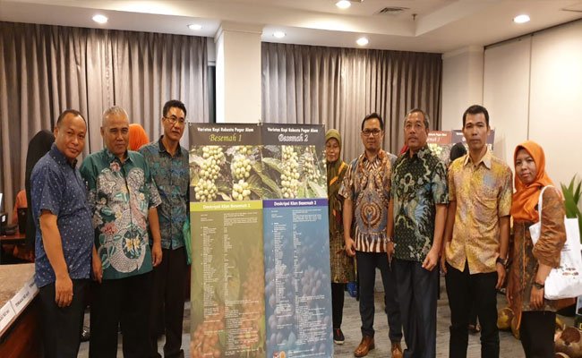 Kopi Robusta Pagalaram Resmi di Rilis Kementerian Pertanian