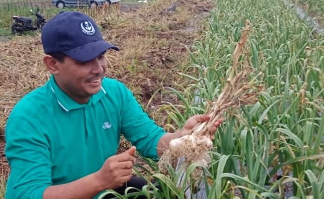 Perluas Sentra Produksi, Kementan Dorong  Sukabumi Kembangkan Bawang Putih
