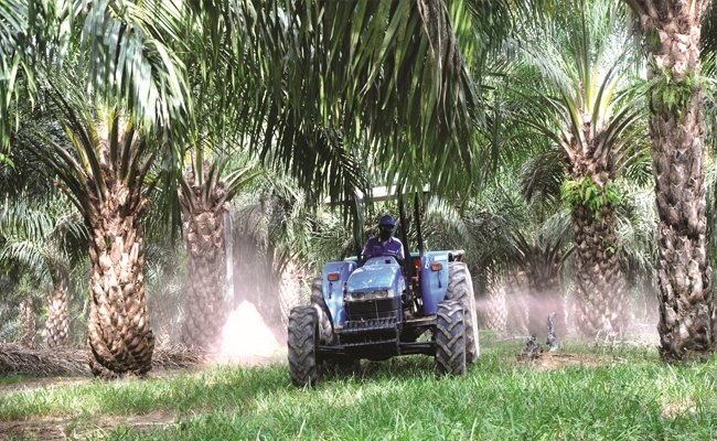 Polbangtan Dukung Pengembangan Sektor Pertanian Nasional