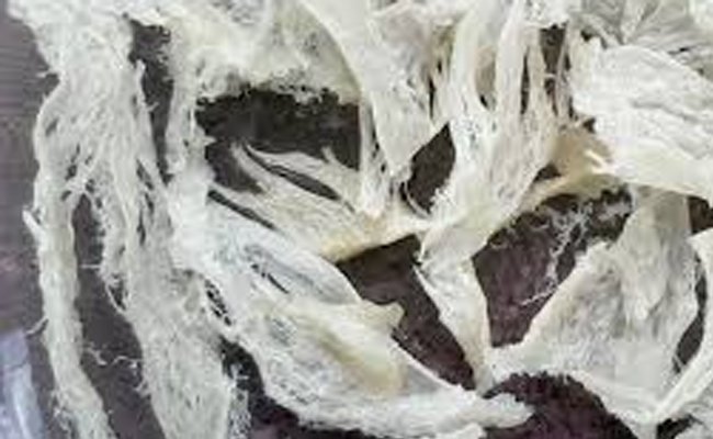 Dialihkan dari China, Ekspor SBW Melesat di 3 Negara