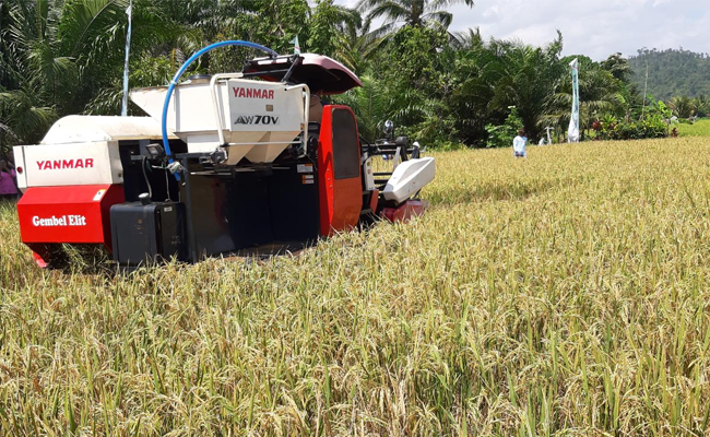 DPD: Anggaran Pertanian Jangan Dipangkas supaya Ekonomi tak Bergejolak