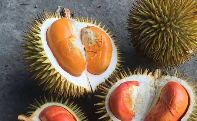 Kementan Bantu Petani Durian Lakukan Inovasi Penjualan Via Online, dari Jawa hingga Papua