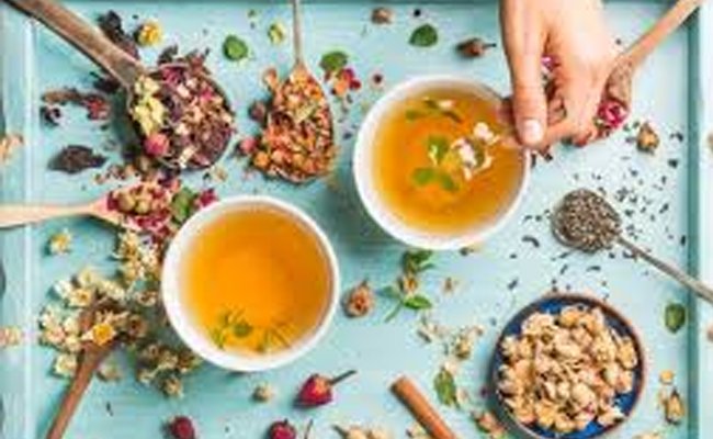 Prospek Tanaman Obat Makin Menjanjikan di Tengah Pandemi Covid-19