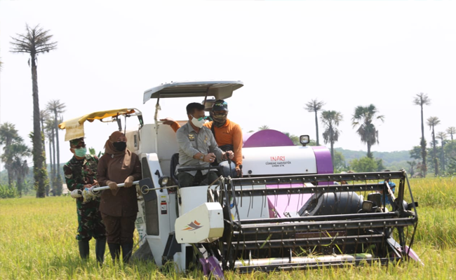 SYL Did Massive Harvest in District of Pandeglang