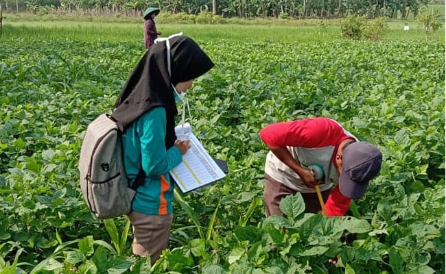 The Agriculture Exports Increased 6,10% or about US$ 320 Million