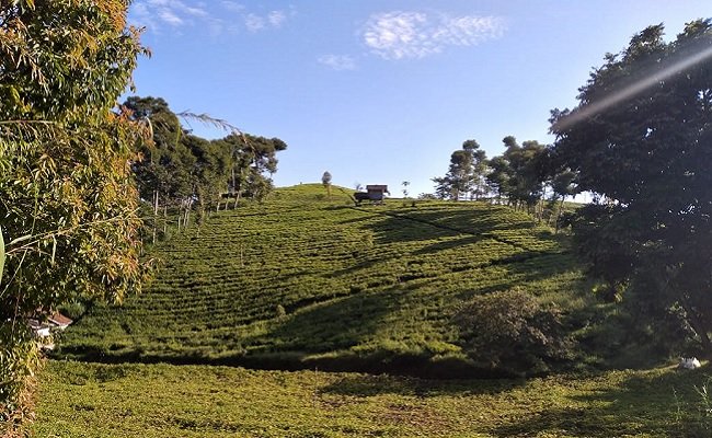 Kementan Genjot Potensi Lahan Sawah Tadah Hujan di Blora