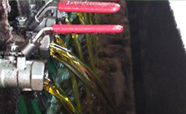 Pentingnya Edukasi Konsumen Minyak Goreng Sawit.