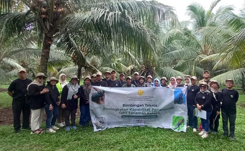 Kementan Tingkatkan POPT Perkebunan untuk Reduksi Kerugian Akibat Serangan OPT
