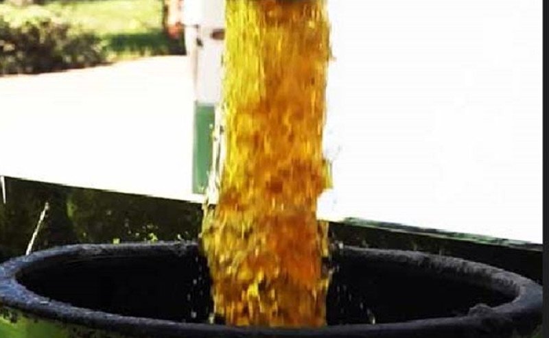 Harga CPO Bursa Malaysia Menguat, Harga KPBN Turun Tipis di Tengah Pasar yang Fluktuatif