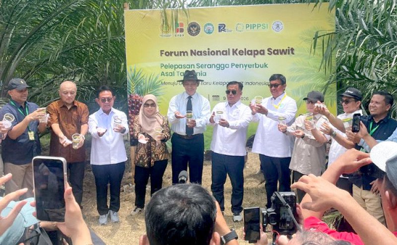 Serangga Penyerbuk Baru Dilepas, Babak Baru Produktivitas Sawit Dimulai