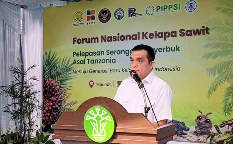 PTPN IV PalmCo Siap Uji Coba Serangga Penyerbuk Tanzania untuk Dongkrak Produktivitas Sawit
