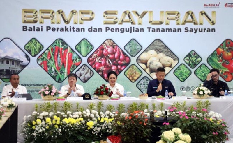 Benih Jadi Kunci, Pemerintah dan DPR Percepat Swasembada Bawang Putih