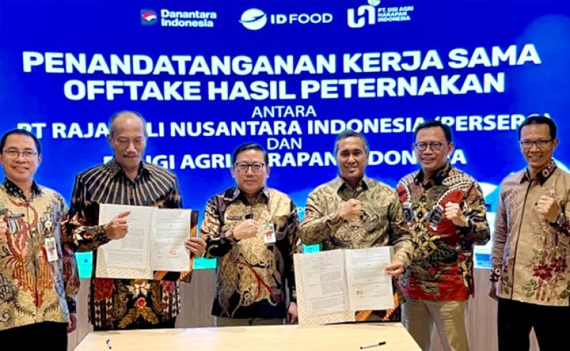 Kawal Hilirisasi Ayam di Sulsel, Kementan Tegaskan MoU Harus Berujung Aksi Nyata