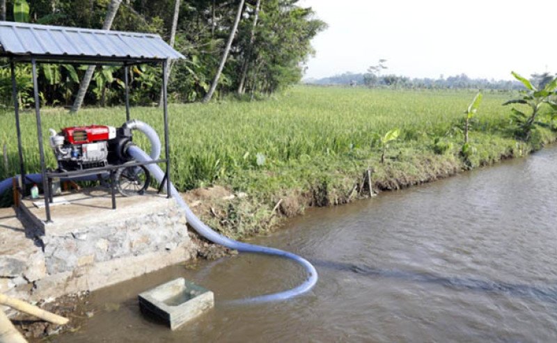 Hadapi Kemarau 2026, Kementan Andalkan Pompanisasi dan Pupuk untuk Jaga Produksi