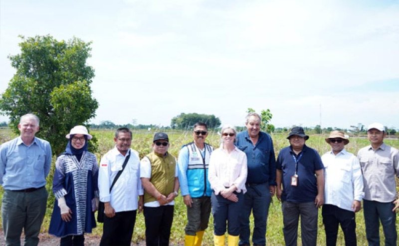 Kolaborasi Indonesia dan Australia Perkuat Irigasi Lahan Rawa di Kalimantan Tengah
