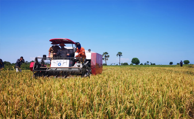 Agriculture GDP Increased, the Academy Urged the Government to Focus Developing the Agricultural sector