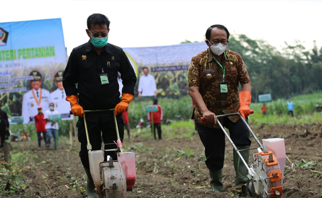 Datangi Kawasan Perhutanan Blitar, Mentan SYL Bersama Bupati Tanam Jagung