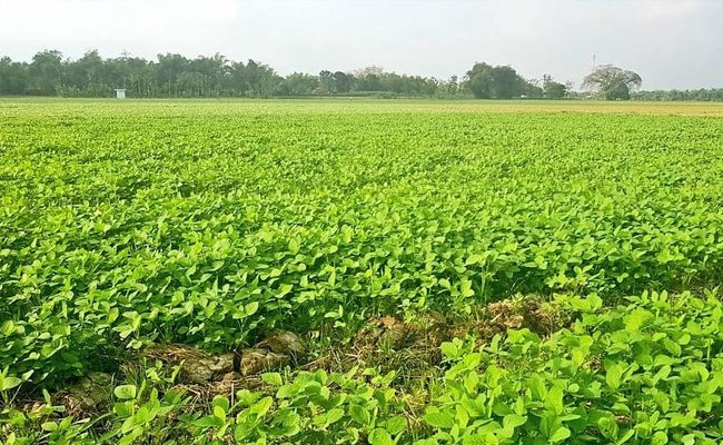 In the Meeting with Commission IV, The Members Appreciated Ministry of Agriculture