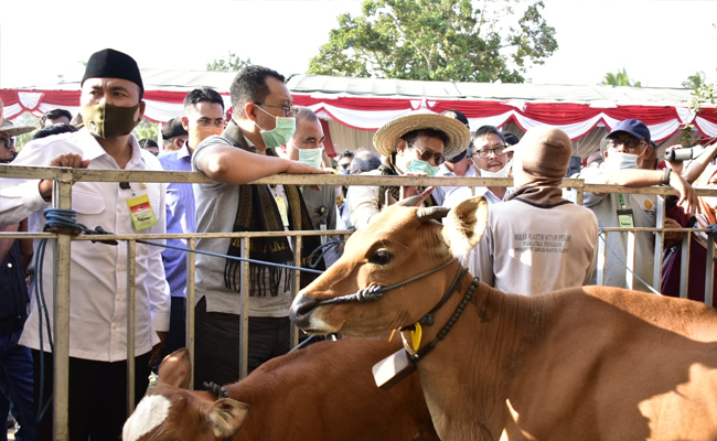 ISPI: Peternakan Indonesia Semakin Maju