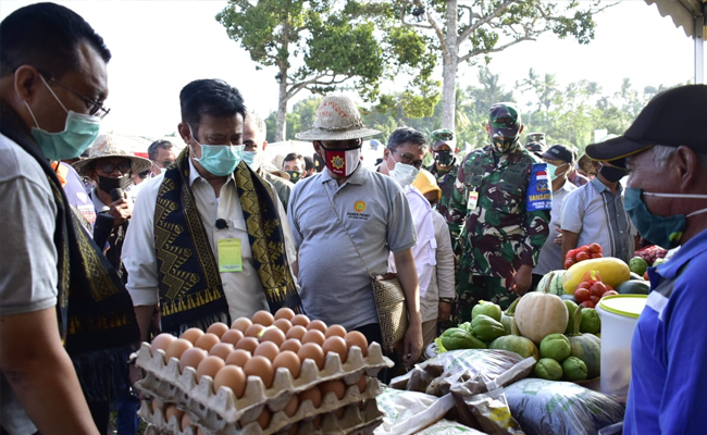 Kejar Swasembada Daging Sapi, Mentan SYL Panen Pedet di Lombok Tengah NTB