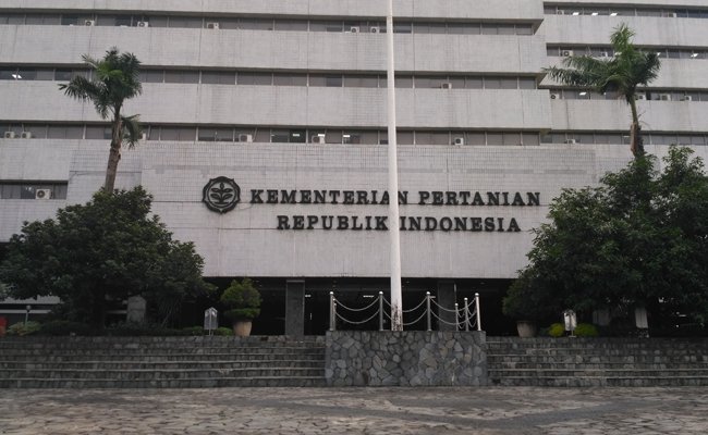 Kepmentan Terkait Ganja, Tetap Mengacu UU Narkotika