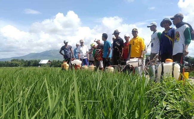 Observer: GDP in II Quarter of 2020 Proved, Agricultural Sector Hit the Targets during Covid-19 Pandemic