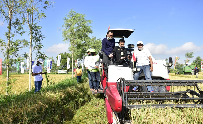 Panen Padi di Lombok Tengah, Mentan SYL Dorong Program Pertanian di NTB