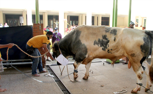 Sambut Idul Adha, Mesjid Kementan Laksanakan Penyembelihan Hewan Qurban