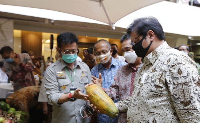 To Increase the Exports, Ministry of Agriculture Focuses to Cultivate the Fruits Nationally