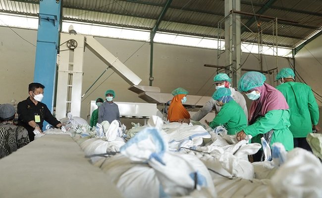 Mentan SYL Pantau Langsung Produksi Padi Kabupaten Sragen