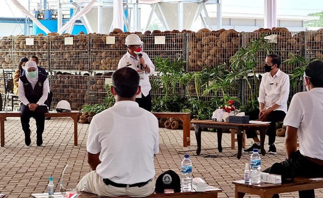 Presiden Jokowi Dorong Industri Porang Siap Ekspor Produk Olahan