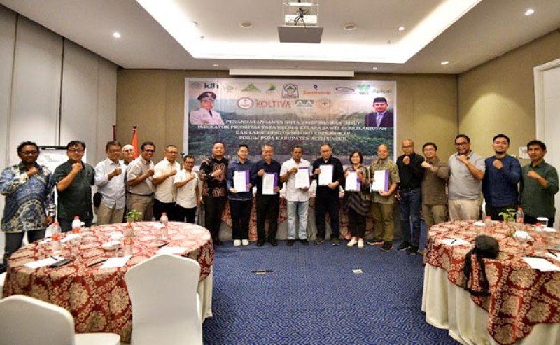 KOLTIVA dan Mitra Pembangunan Dukung Pemerintah dalam Tata Kelola Sawit Berkelanjutan 2024-2026