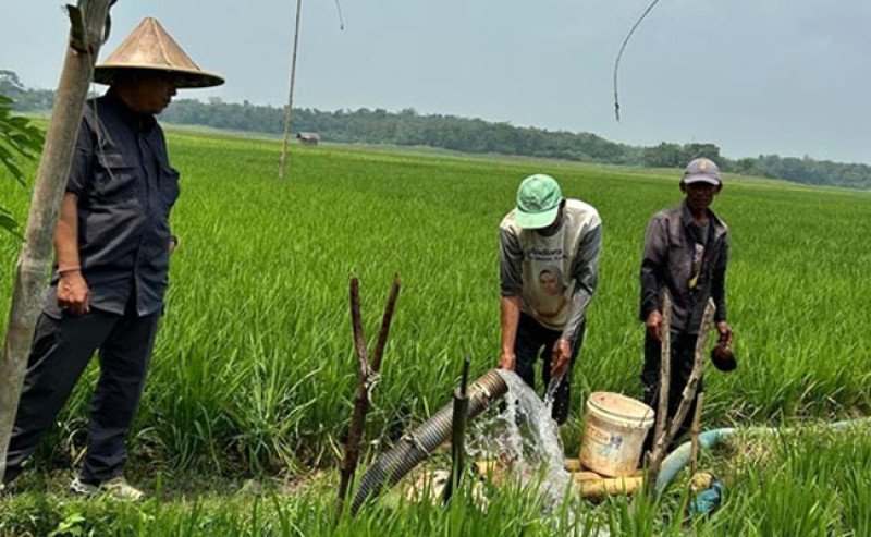 Gencarkan Pompanisasi, Kementan Pastikan Pompa Mengairi Sawah