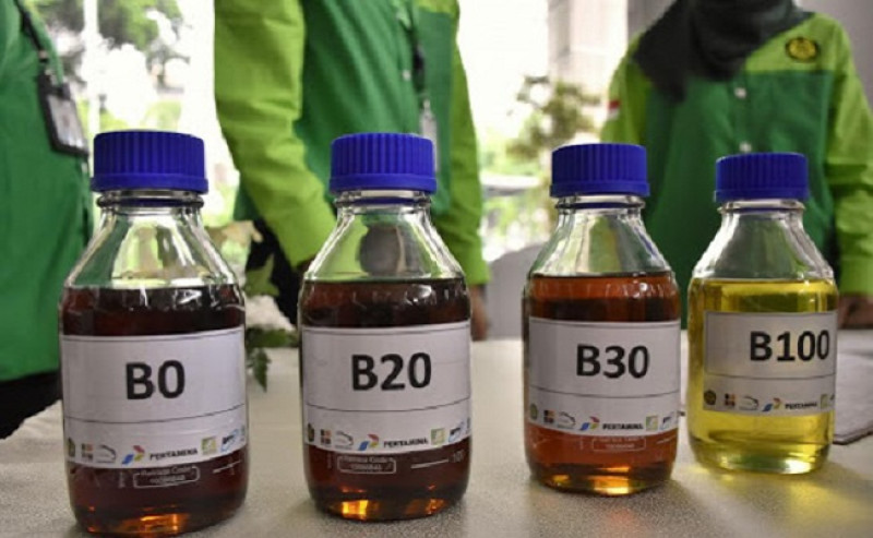 Indonesia Menang Sengketa Biodiesel Lawan Uni Eropa di WTO