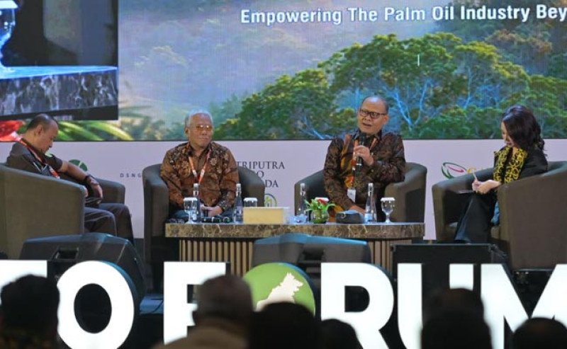 Ketidakpastian Regulasi Bisa Hambat Investasi Sawit
