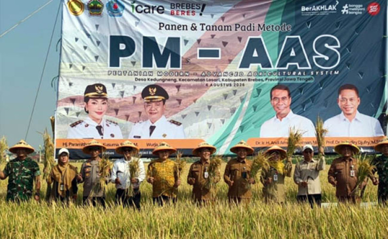 PM-AAS Dongkrak Produktivitas Padi 63,46%, Rata-rata Capai 10,34 Ton per Hektare