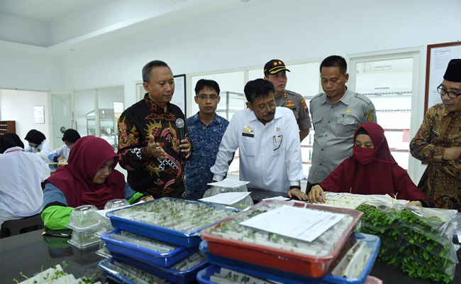 Di Jember Mentan Syahrul Apresiasi Produsen Benih Nasional