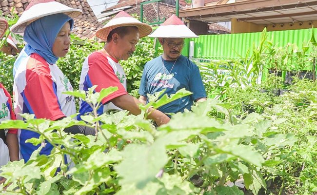 Di Kampung Sayur, Mentan Bicara Semangat Pertanian dan Program KUR