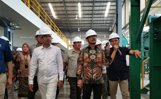 Ekspor Benih Sayuran Capai Rp 98 Miliar