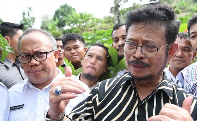 Kementan Dorong Intercropping Untuk Optimalkan Lahan