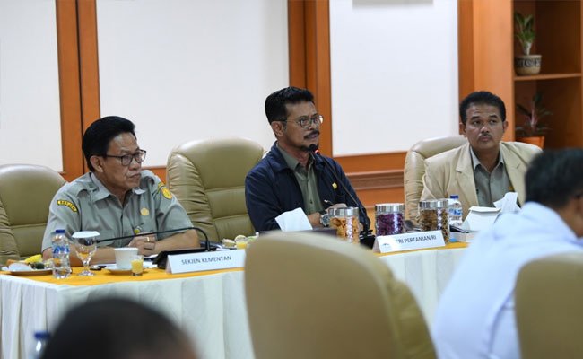 Kementan Sektor Tanaman Pangan Tingkatkan Ekspor Tiga Kali Lipat