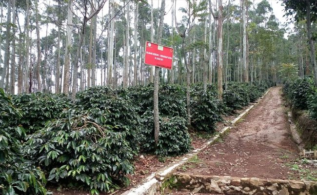 Ekspor Pertanian November 2020 Terus Naik Tajam