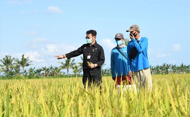 Faisal Basri Supports Local Food Diversification