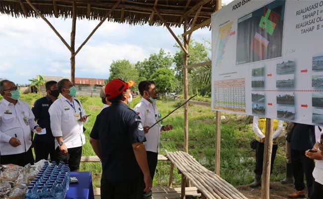 Kementan Optimis Lahan Food Estate Rampung Tepat Waktu