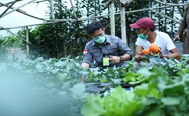 Mentan Syahrul Tinjau Lokasi Usaha Packing House Lembang