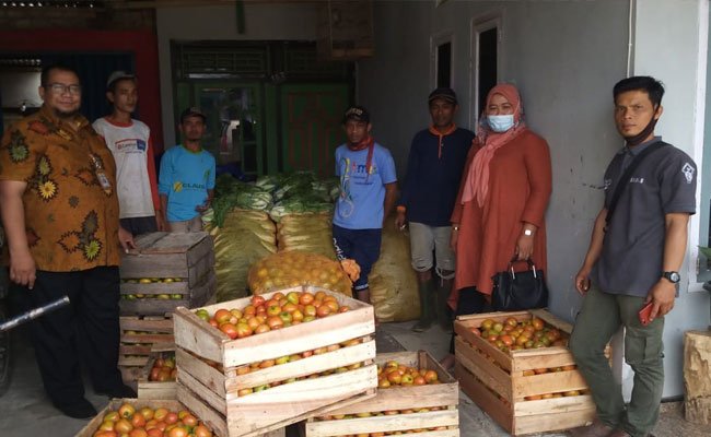 Peduli Masyarakat Terdampak Covid-19, Kementan Serap Produk Hortikultura Petani