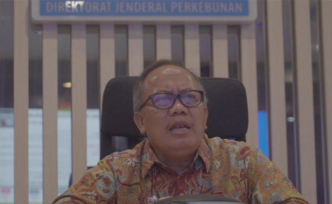 Peremajaan Sawit Rakyat Tingkatkan Produktivitas