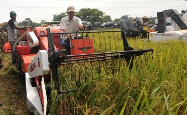 The Agriculture Proves to Accelerate the Economic Recovery Nationally