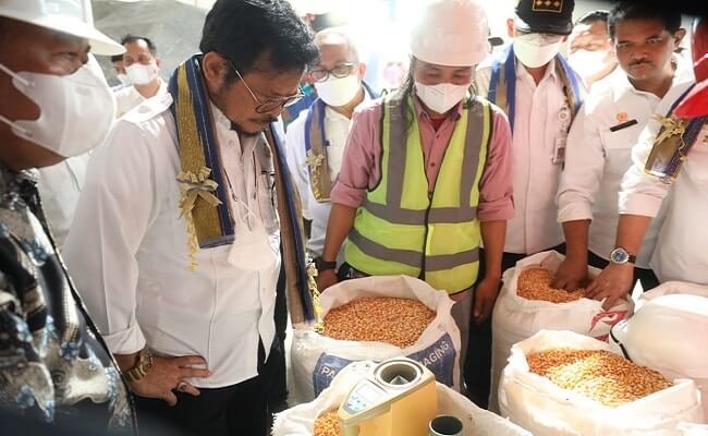 Mentan SYL Dorong Ekosistem Budi Daya dan Usaha Menguntungkan